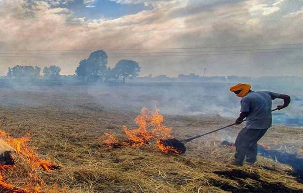 प्रदूषण का भार सिर्फ ग्रामीण अर्थव्यवस्था को देना उचित ...