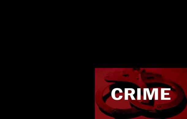 प्रभावी अपराध नियंत्रण से आदर्श समाज व्यवस्था की परिकल्...